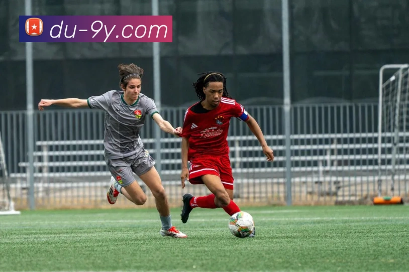 App Interface Preview